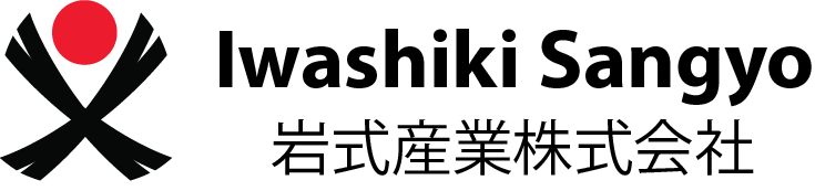 Zybel Logo